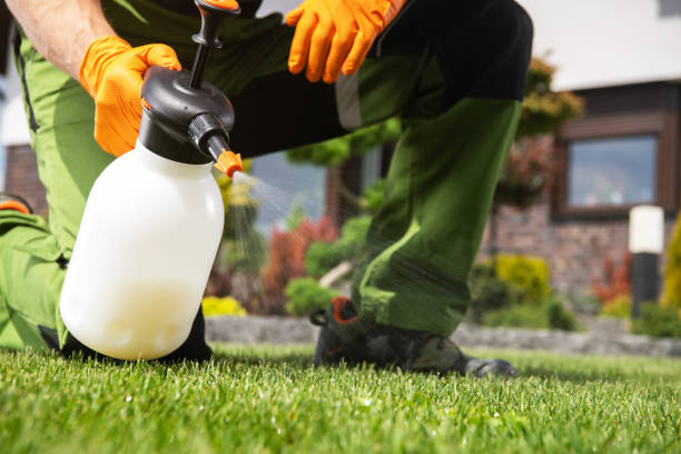 Professional Pest Control in Eastlawn Gardens, PA